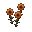 calendula.png